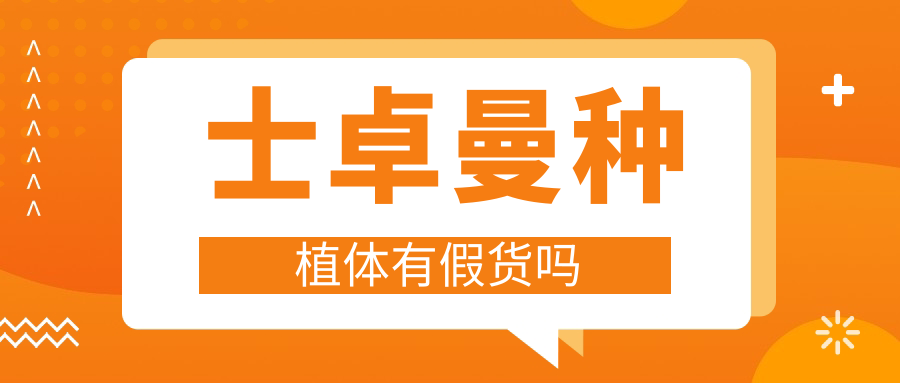 士卓曼种植体有假货！瑞锆亲水低价藏陷阱|小于3000元不可靠