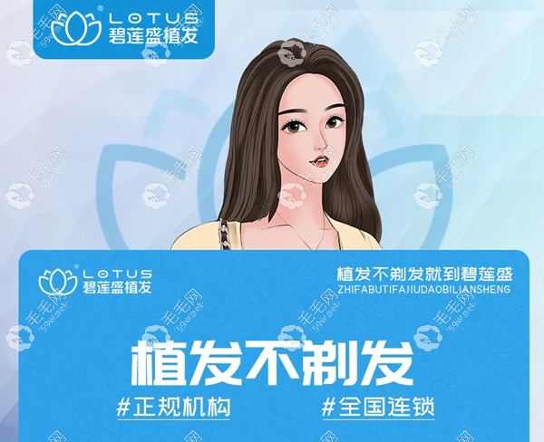 碧蓮盛不剃發(fā)長發(fā)種植一毛囊單位