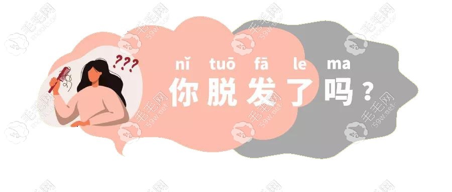 后枕毛囊一次可以取多少