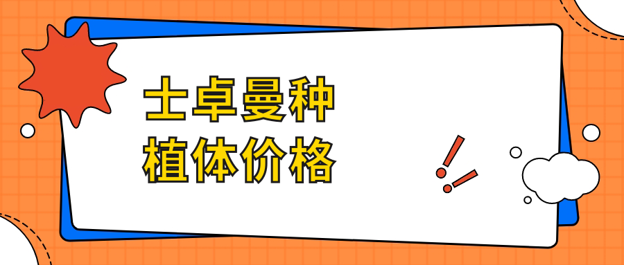 士卓曼種植體價(jià)格