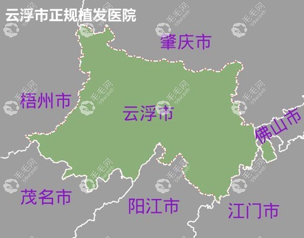 云浮市正规植发医院名单
