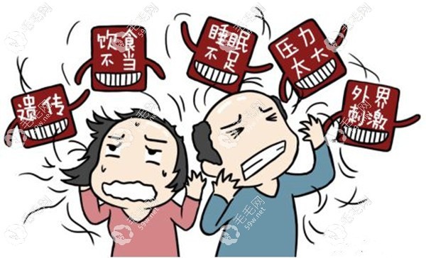 金华植发价格
