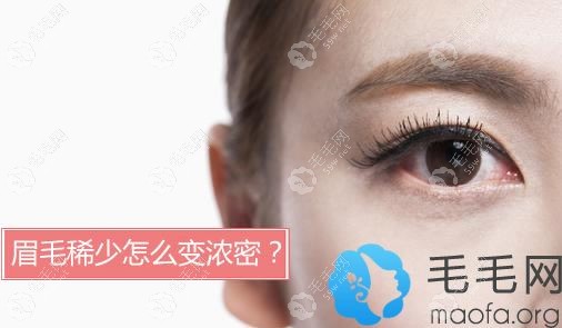 眉毛稀少怎么变浓密？