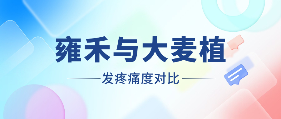 雍禾与大麦植发疼痛度对比