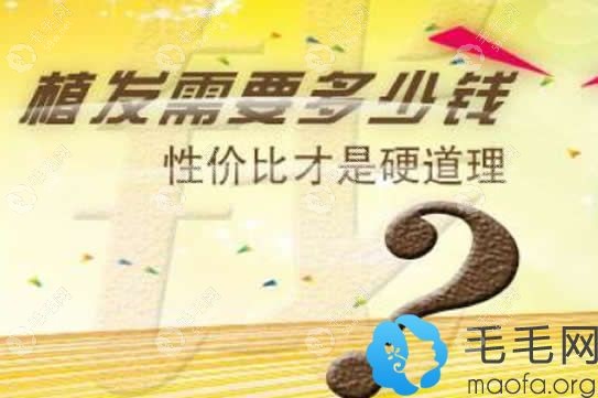 植發(fā)費用圖