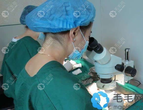 高倍顯微鏡分離毛囊