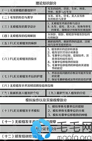 培訓(xùn)課題大綱_2017毛發(fā)移植實操學(xué)習(xí)班