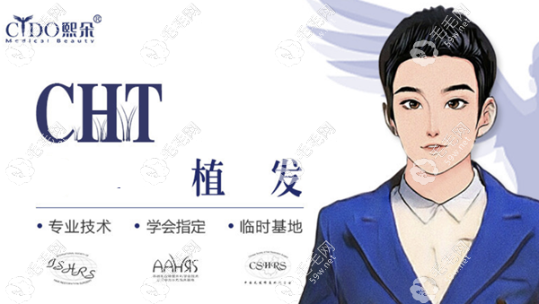CHT活細胞技術植發(fā)一個單位價格：60元起/毛囊 