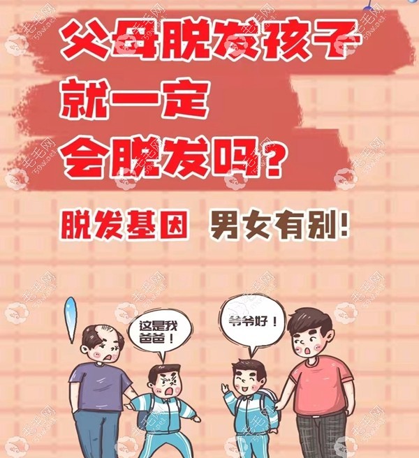 遗传性脱发该怎么解决