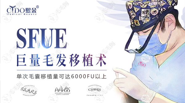 熙朵SFUE技術頭發(fā)移植一個單位價格：20元起/毛囊