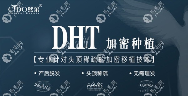 熙朵DHT技術頭發(fā)移植一個單位價格：30元起/毛囊