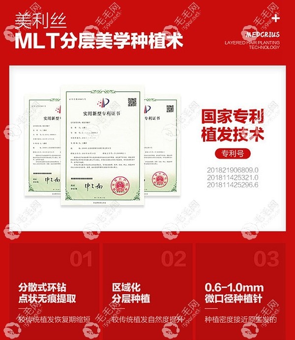 美利丝MLT分层美学种植技术