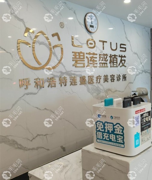 呼和浩特碧莲盛在哪里www.59w.net