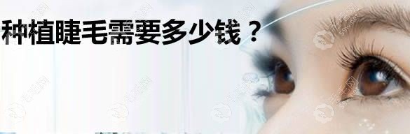 睫毛種植的價(jià)格需要多少錢