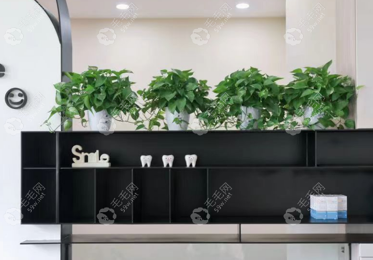 展示