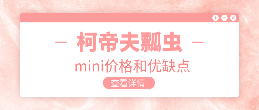 柯帝夫瓢蟲 mini價(jià)格和優(yōu)缺點(diǎn)