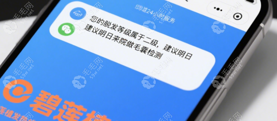碧蓮盛植發(fā)技術(shù)