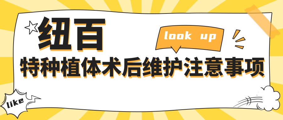 紐百特種植體術(shù)后維護(hù)注意事項(xiàng)