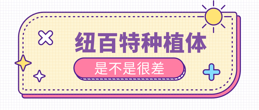 纽百特种植体很差?使用寿命15年起跳,四级纯钛打底实力打脸