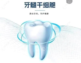 再生牙什么时候能上市?价格大概多少?费用+上市节点看这里