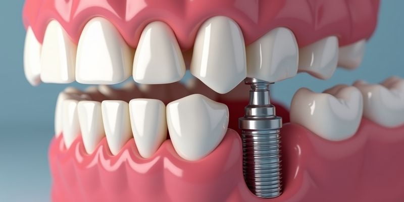 好必特托槽和美国奥美科托槽的区别 —— 舒适度