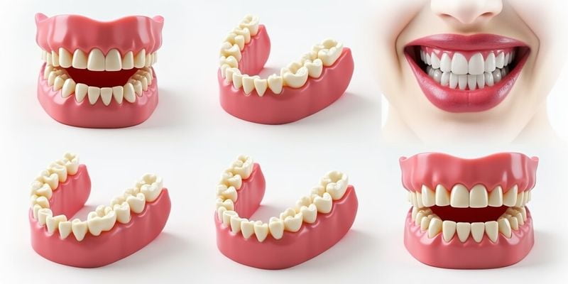 北京3家高性价比分店推荐——价格实在，材料常见