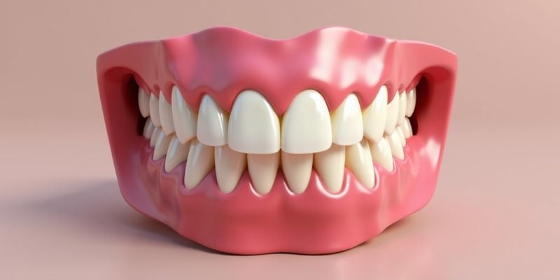 铜陵柏年口腔医生团队