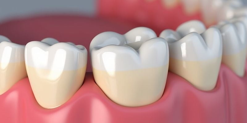 2. 爱迪特牙冠和泽康牙冠哪个好？价格对比：泽康牙冠VS爱迪特牙冠