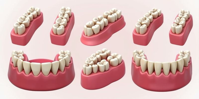 二、吸附性义齿为什么比传统假牙贵？泰兴人必看的3个优势