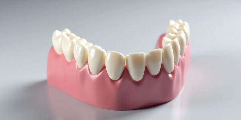 全瓷牙佩戴费用大揭秘www.59w.net