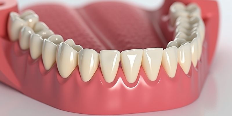 福清基础牙科项目价格