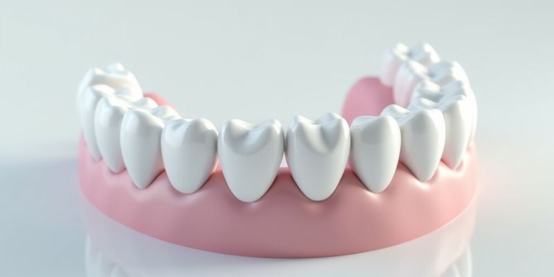 二、五大进口牙冠品牌性能横评