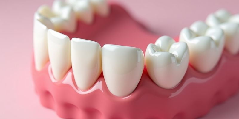 选择德国阿曼全瓷牙的注意事项