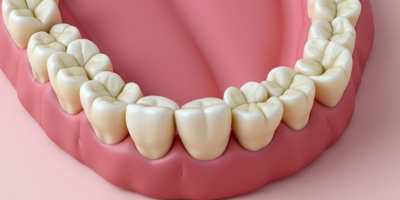 吸附性义牙的安装过程