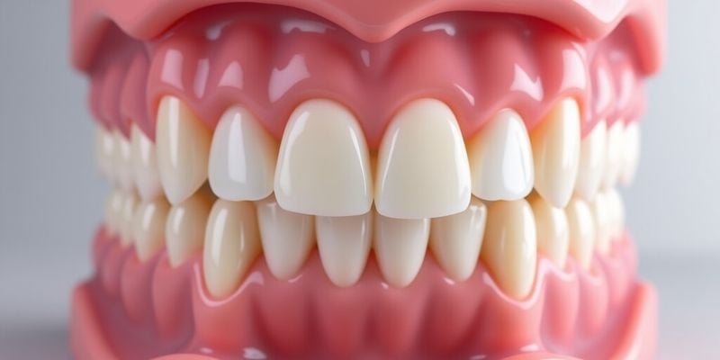 美加全瓷牙冠多少钱一颗?