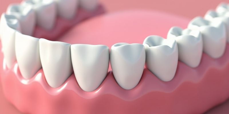 如何选择适合自己的全瓷牙冠?