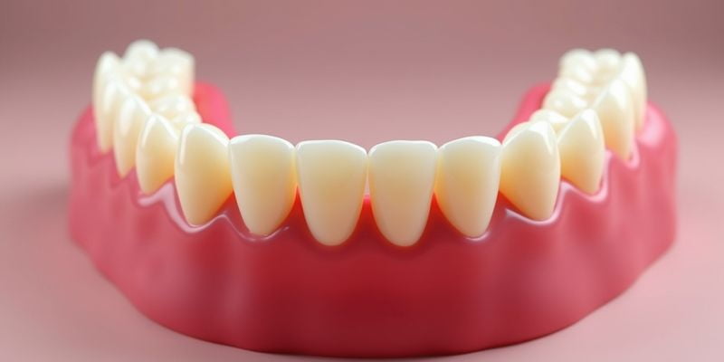 岫岩县牙科医院烤瓷牙/全瓷牙价格