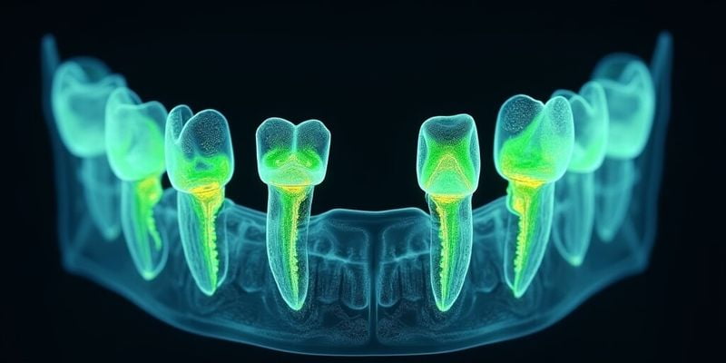 瑞士SIC种植牙什么档次？选择建议供参考