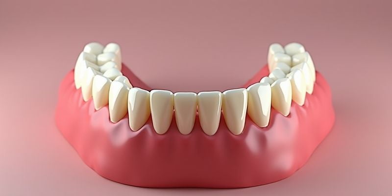 一、爱尔创全瓷牙促销价格600元能买吗？www.59w.net