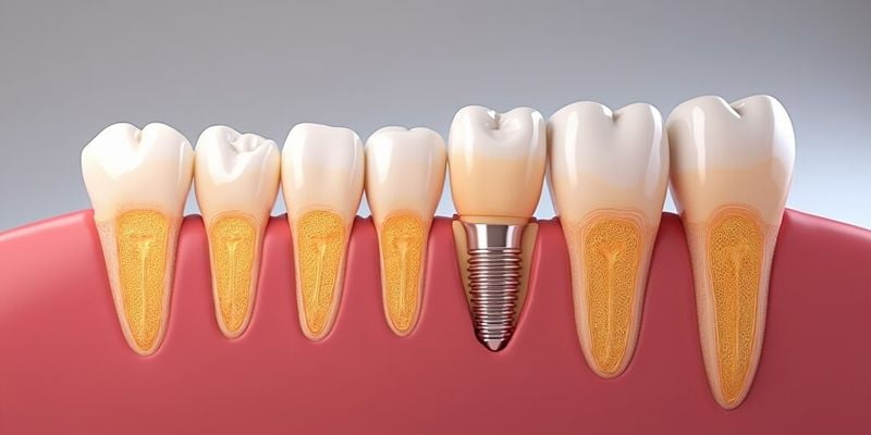 武汉地区部分口腔医疗机构对比