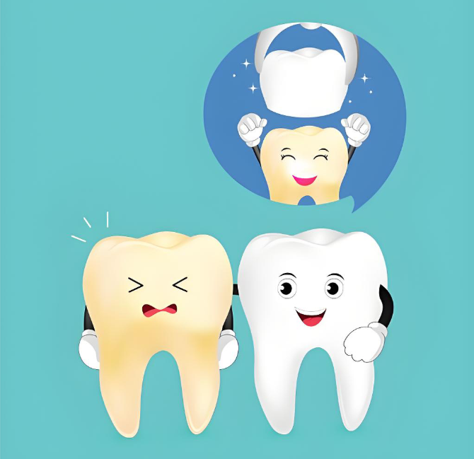 威兰德全瓷牙怎么样www.59w.net