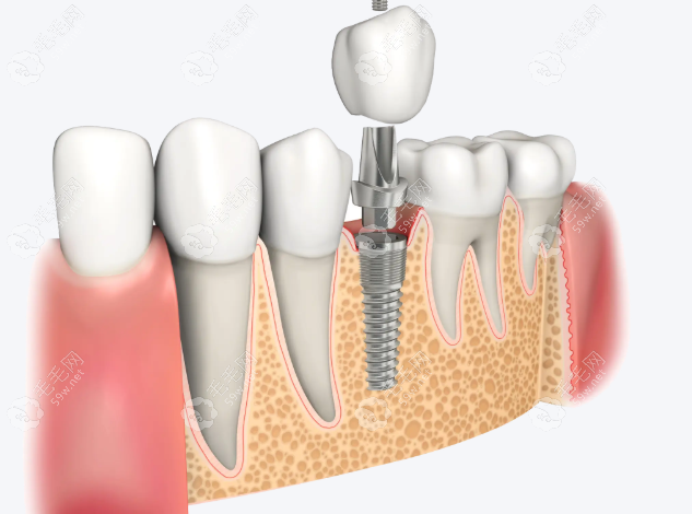 坚实的背景与丰富的临床经验