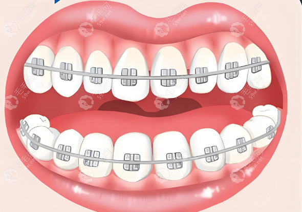 教育与职业背景