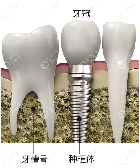 临床经验与技术特色 临床经验与技术特色