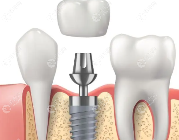 背景与学术成就 背景与学术成就