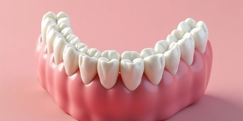 三、宜宾布莱梅口腔其他项目参考价格