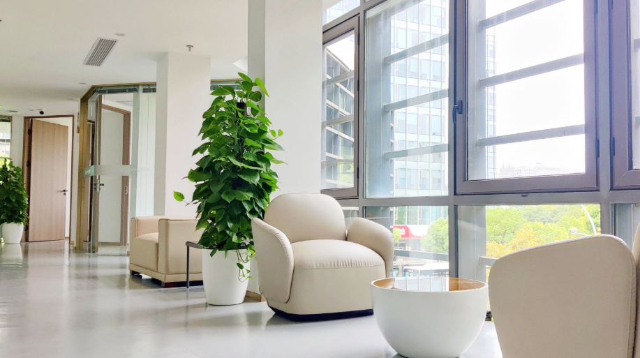 上海申洁口腔交通信息与周边配套