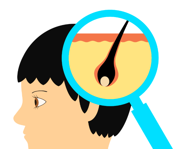 用户评价与就诊体验分享