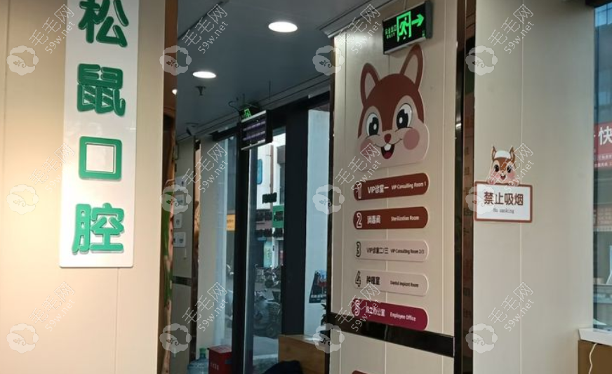 泰安松鼠口腔怎么样 泰安松鼠口腔怎么样