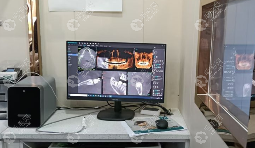 泰安松鼠口腔环境 泰安松鼠口腔环境